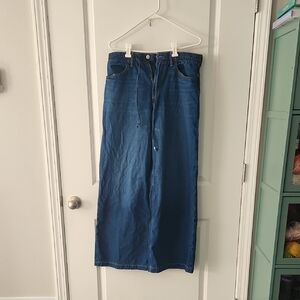 American Eagle Outfitters Dark and Light Blue Denim